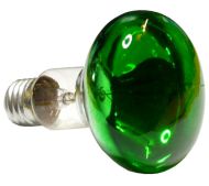Žiarovka reflektorová E27 R80 60W - zelená