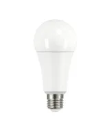 Žiarovka LED E27-A67 19W studená biela 33748