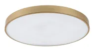 Stropné stmievateľné LED svietidlo RABALUX TESIA 71038